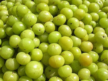 Amla